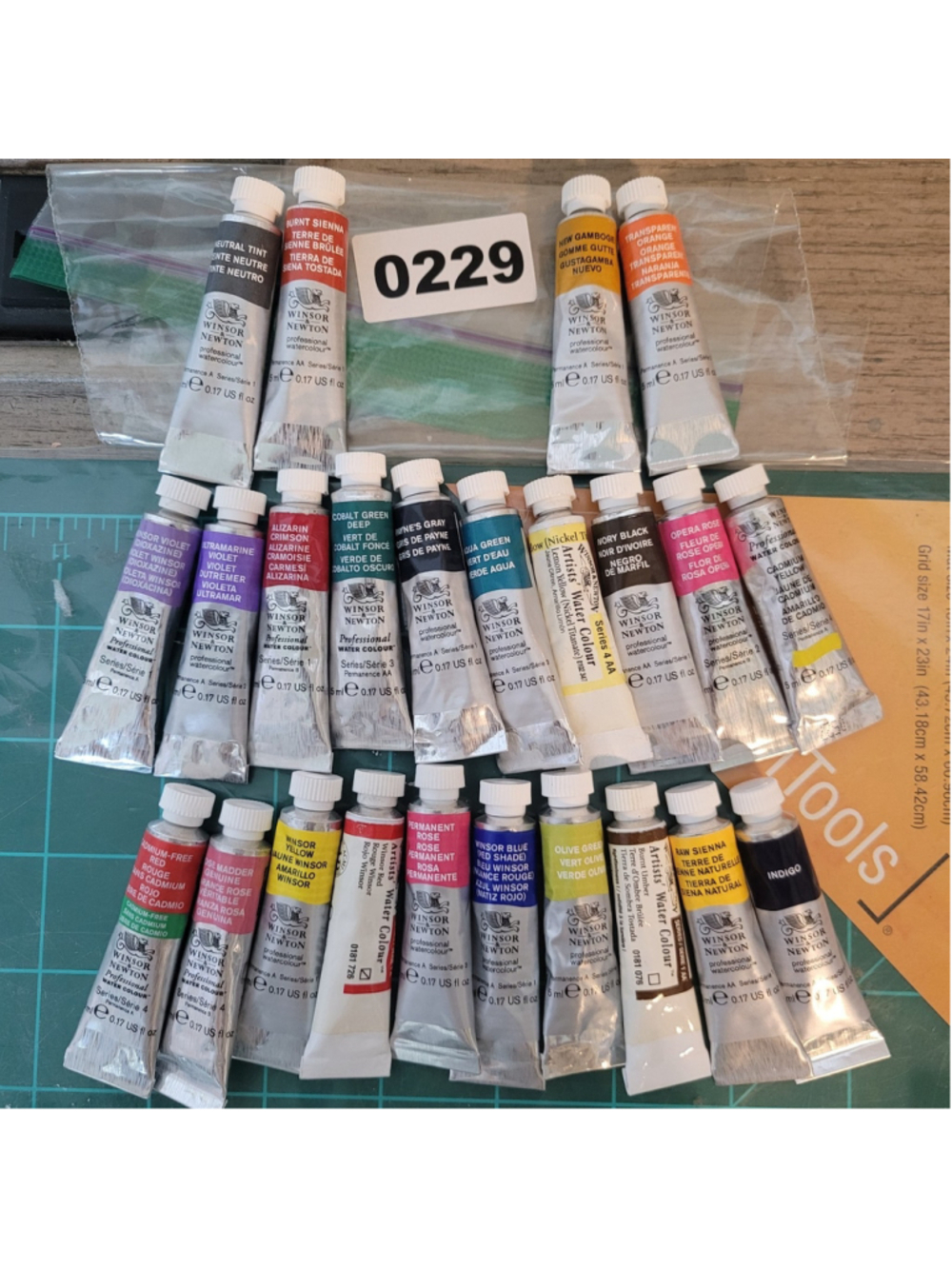 24 Winsor & Newtown Professional Watercolor 5ml Tubes #0229
